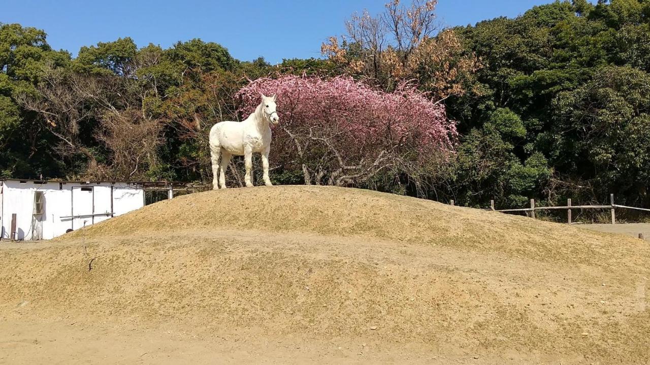 海辺のゲストハウスーぽかぽか村ー Ise Zewnętrze zdjęcie